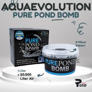 Pure Pond Bomb Evolution Bom Bakteri Starter Bom Kolam Ikan Koi